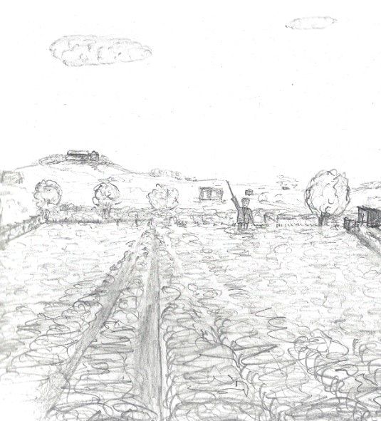 Sketch by Robin Drinkall from 1974 in Preesall, Lancashire. The person standing in the middle of the potato field was unknown.